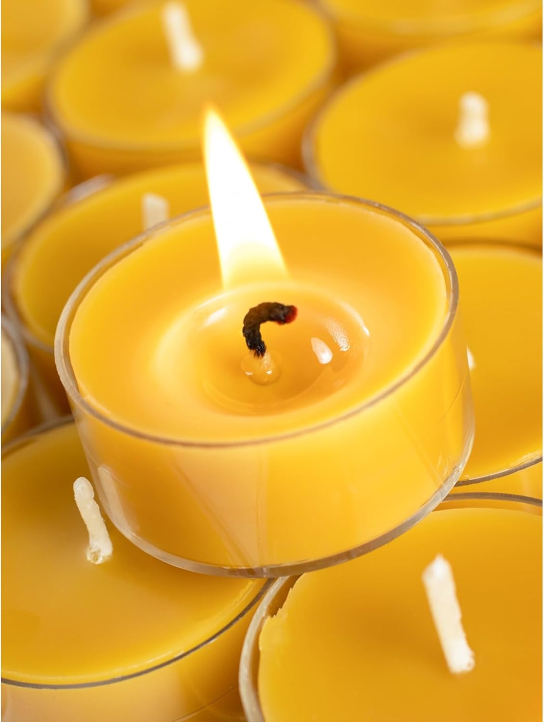 Beeswax tealight candles — Harvest Honey